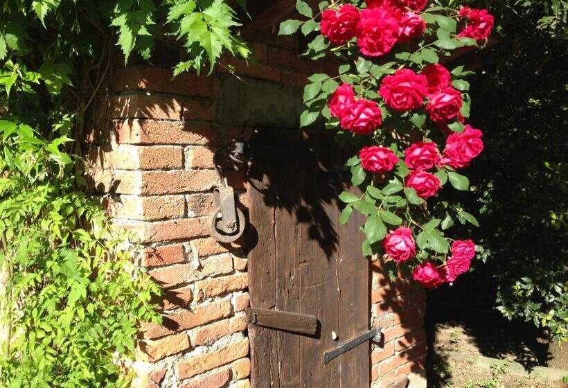 Апартаменты 1 Спальня, Il Poggiolo Delle Rose Bed&breakfast