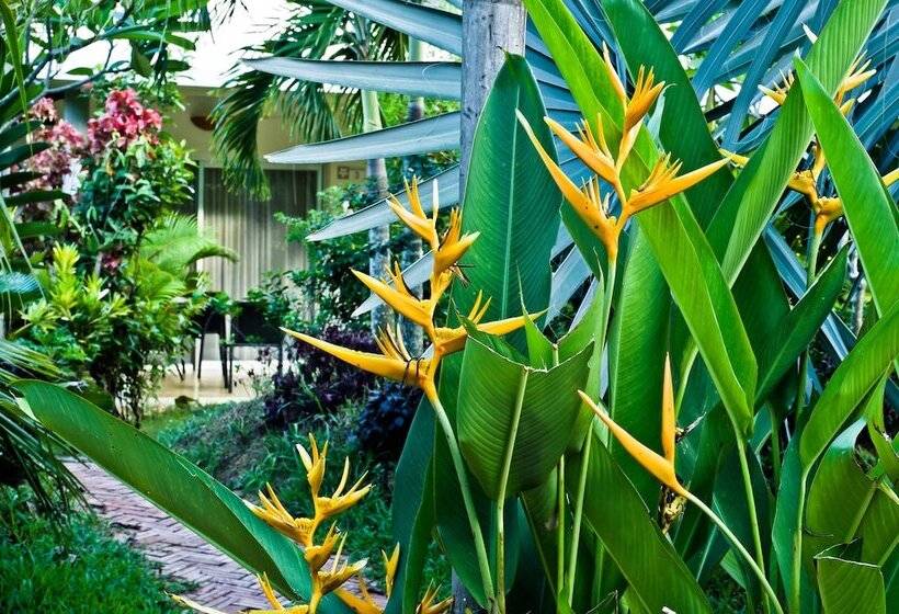 Семейный Номер, Battambang Resort