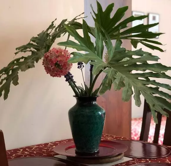 اتاق استاندارد, Albany Foreshore Guest House