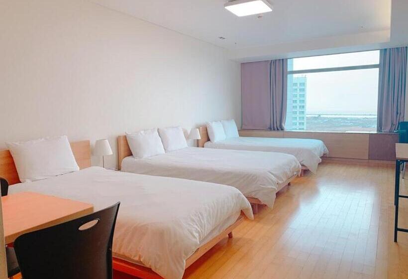 اتاق استاندارد سه نفره, Gogo House