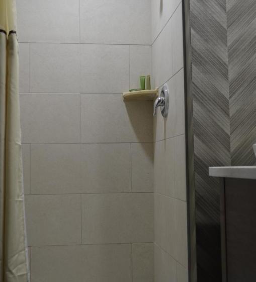 اتاق استاندارد با تخت بزرگ برای معلولان, Aarya Hotel By Niagara Fashion Outlets