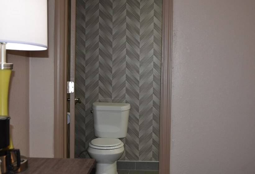 اتاق استاندارد با تخت بزرگ برای معلولان, Aarya Hotel By Niagara Fashion Outlets