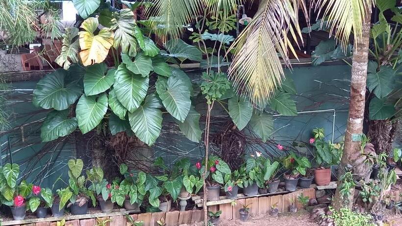 غرفة قياسية مطلّة علي الحديقة, Nooit Gedacht Holiday Resort Unawatuna