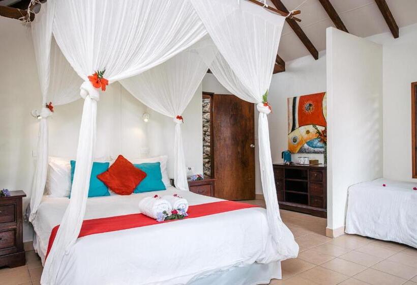 اتاق استاندارد, Coco Beach Resort