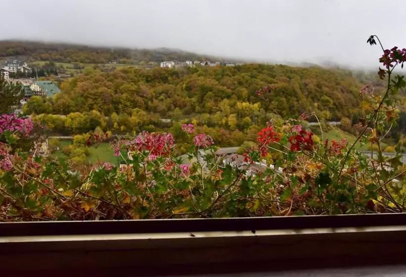 اتاق اکونومی, Belvedere