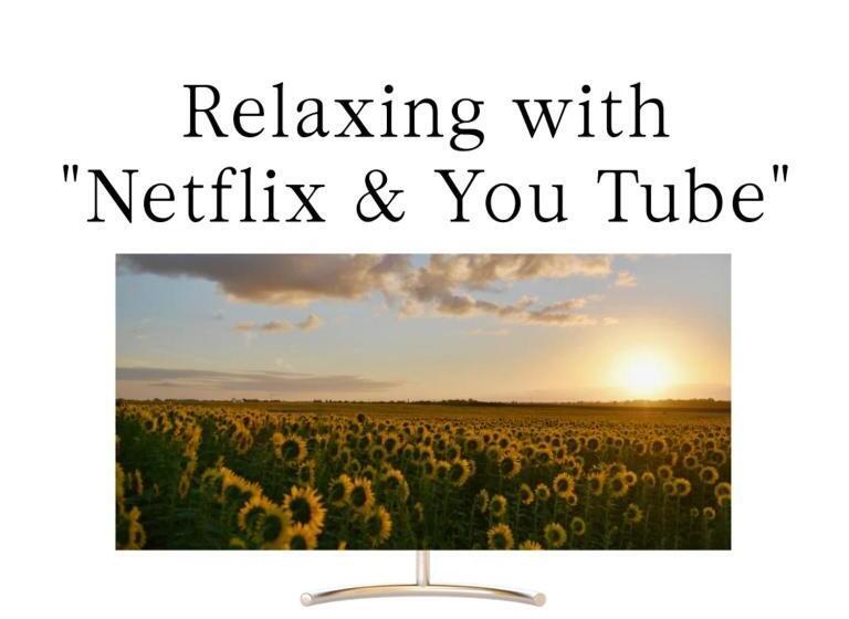 Camera Standard, Leo