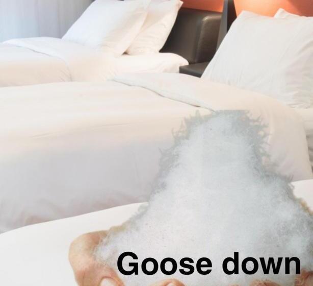 Camera Familiare, Leo