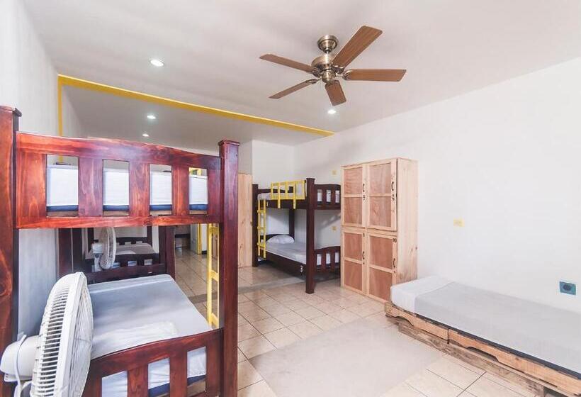 تختخواب در اتاق مشترک, La Hacienda Rooms & Food