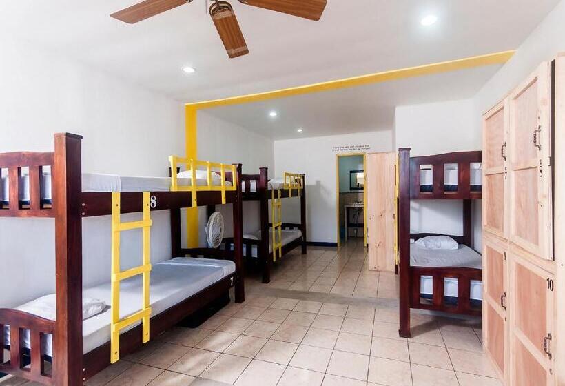 Кровать в Общей Комнате, La Hacienda Rooms & Food