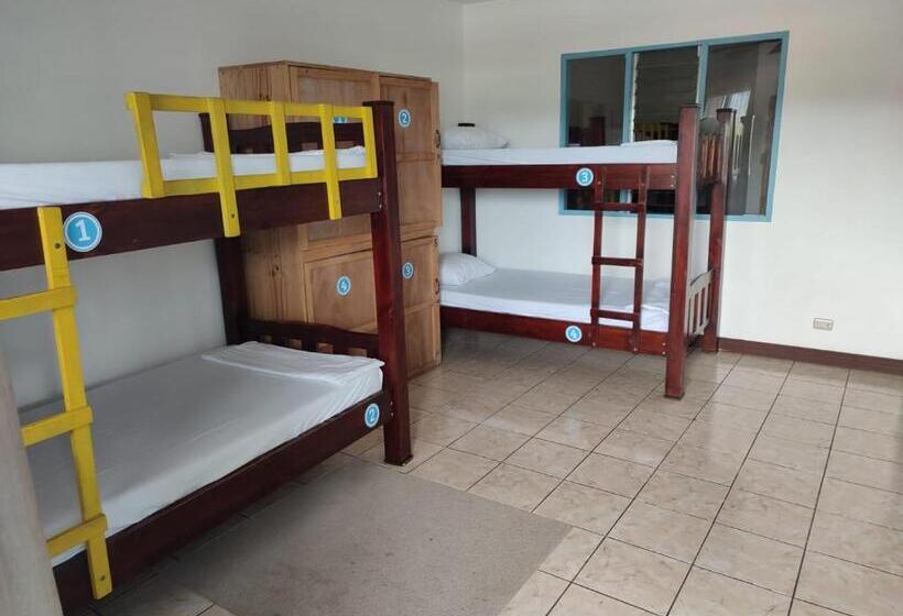 تختخواب در اتاق مشترک, La Hacienda Rooms & Food