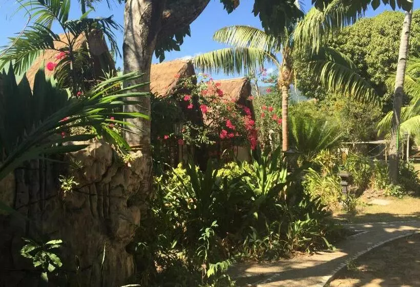 スタンダードバンガロー, Kokosnuss Garden Resort