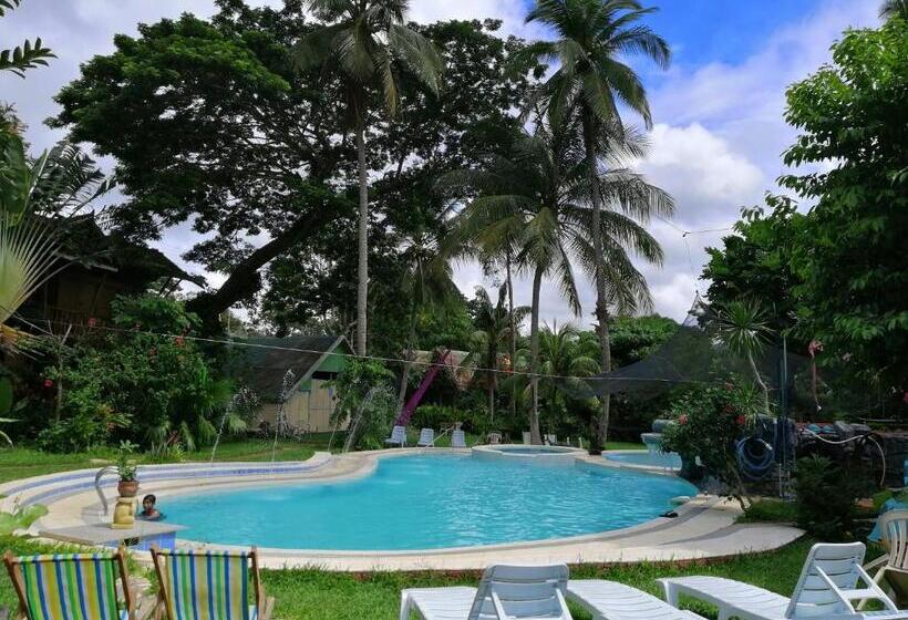 Студия Стандарт, Kokosnuss Garden Resort