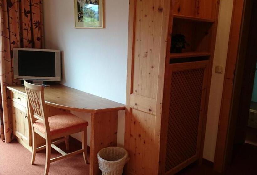 Номер Executive, Motel Zum Schweizerbartl