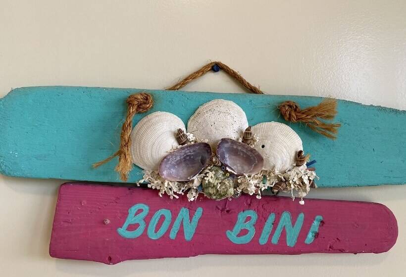 استودیوی استاندارد با چشمانداز شهر, O Casarao Guesthouse