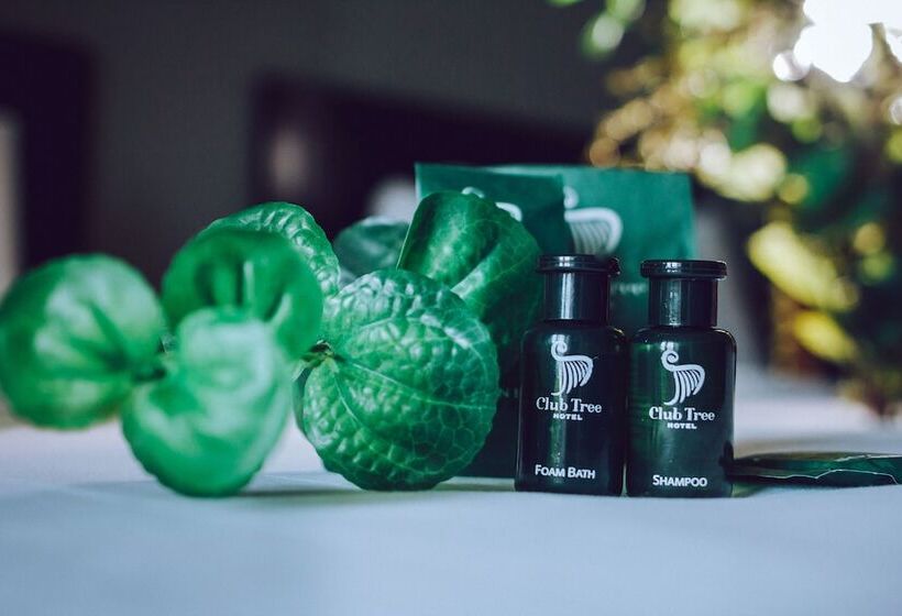 豪华房间, Club Tree