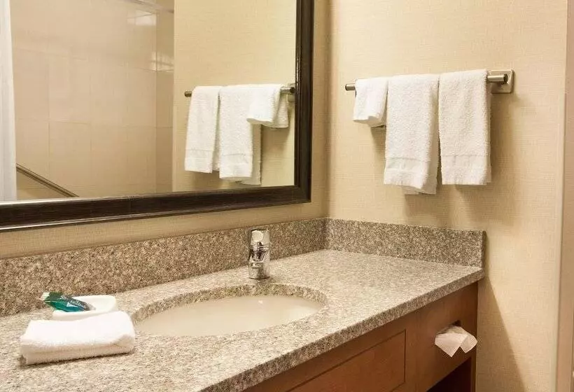 デラックスルーム, Drury Plaza Hotel Phoenix Tempe