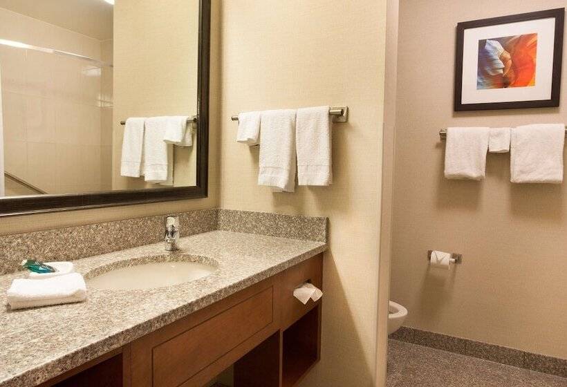 חדר דלוקס מותאם לאנשים עם מוגבלויות, Drury Plaza Hotel Phoenix Tempe