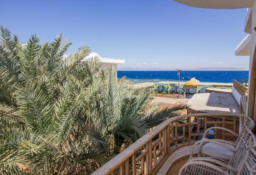 اتاق استاندارد سه نفره, Shams Hotel & Dive Centre