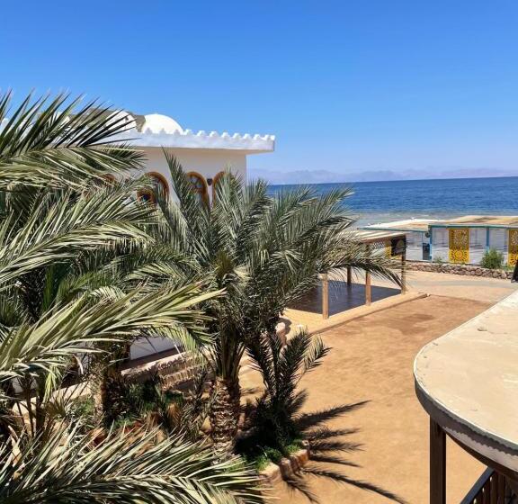 اتاق لوکس با چشم‌انداز دریا, Shams Hotel & Dive Centre