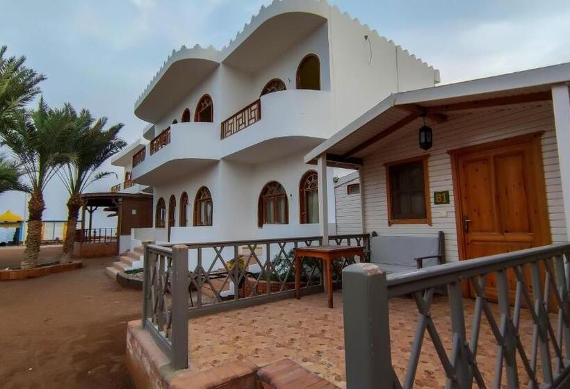 بانگلوی استاندارد, Shams Hotel & Dive Centre