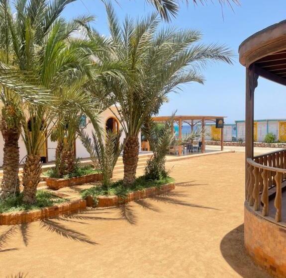 اتاق استاندارد, Shams Hotel & Dive Centre