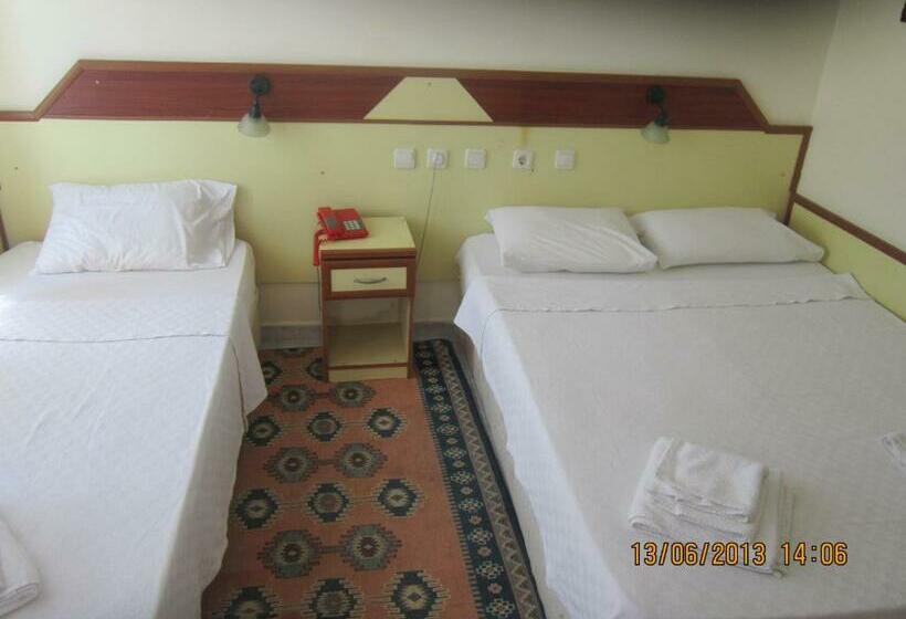 غرفة قياسية ثلاثية, Red Rose