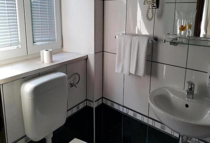 חדר סטנדרט, Villa Slika