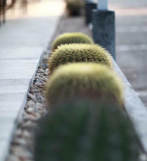 스탠다드 싱글 룸, First Residence