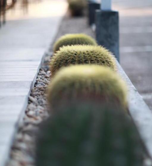 패밀리 룸, First Residence