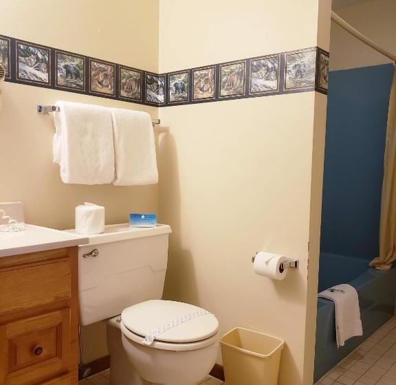 غرفة ديلوكس, North Ironwood Acres   Black River Lodge