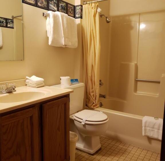 شقة غرفة واحدة, North Ironwood Acres   Black River Lodge