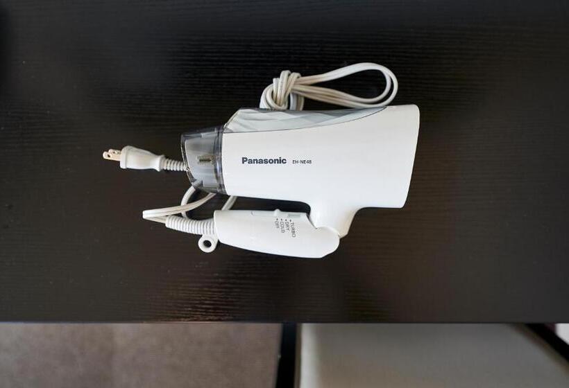 اتاق سوپریور با چشمانداز شهر, Izutsu Hotel Kyoto Kawaramachi Sanjo