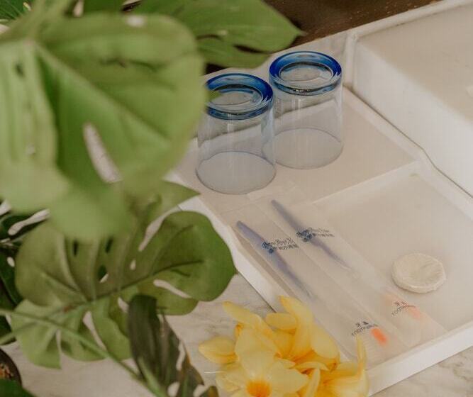 וילה בת 2 חדרי שינה, Borneo Beach Villas