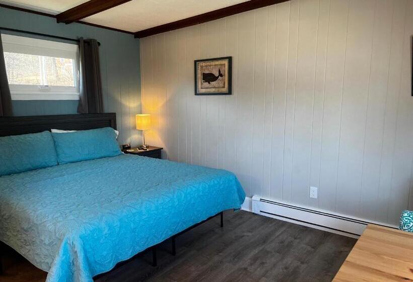 اتاق استاندارد با تخت بزرگ, Claddagh Motel & Suites