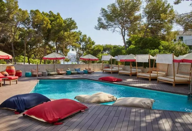 اتاق کلاب, Alua Calvia