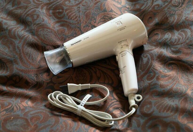 キングサイズベッドのスタンダードルーム, Fine Biwako I