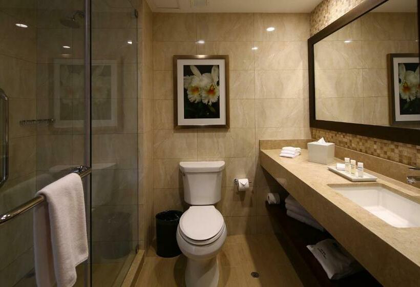 Pokój Standard 2 Łóżka Małżeńskie, Hilton Garden Inn Cusco