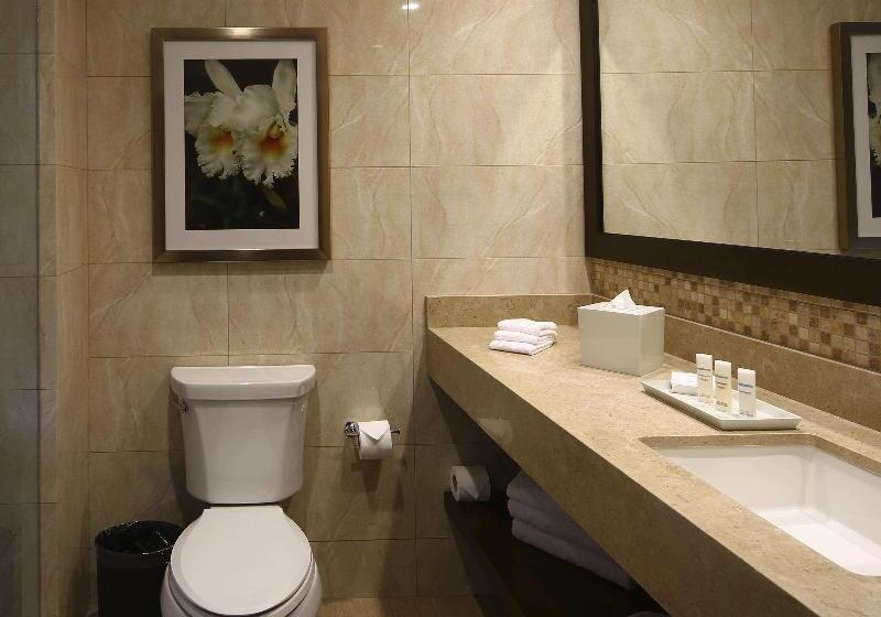 Pokój Standard Łóżko King Size, Hilton Garden Inn Cusco