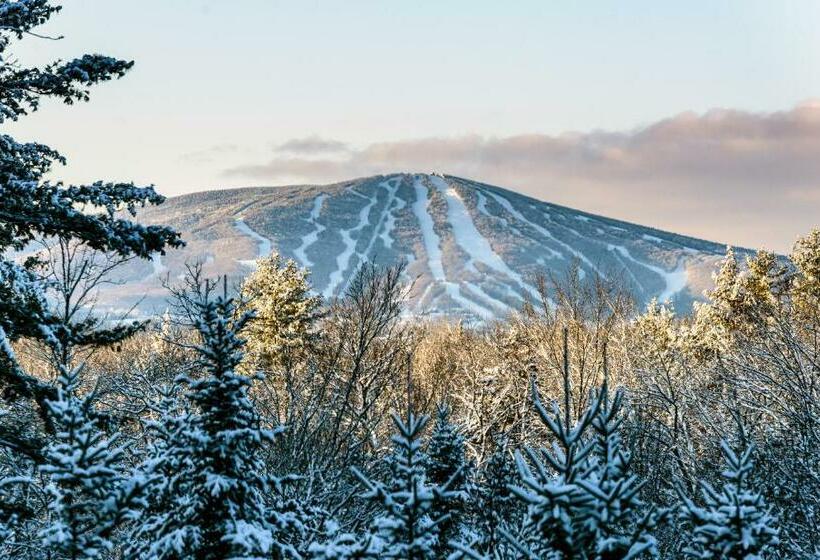 شقة غرفتين, Long Trail House Condominiums At Stratton Mountain Resort