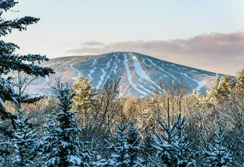 ２ベッドルームアパートメント, Long Trail House Condominiums At Stratton Mountain Resort