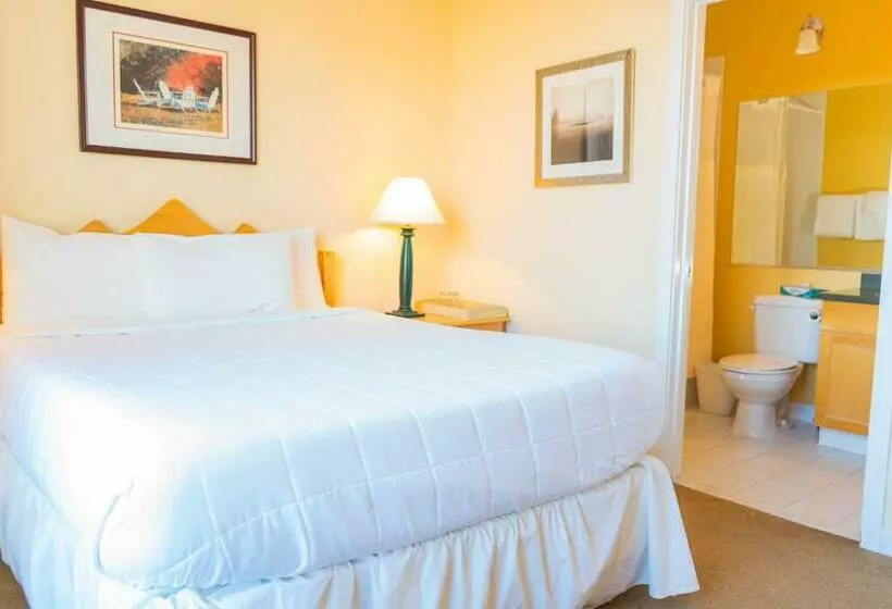 ２ベッドルームアパートメント, Long Trail House Condominiums At Stratton Mountain Resort