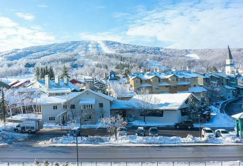 １ベッドルームアパートメント, Long Trail House Condominiums At Stratton Mountain Resort