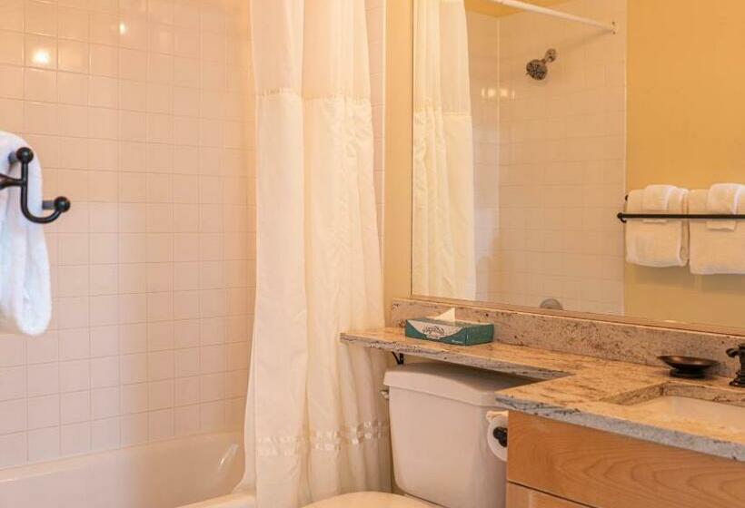 شقة غرفة واحدة, Long Trail House Condominiums At Stratton Mountain Resort