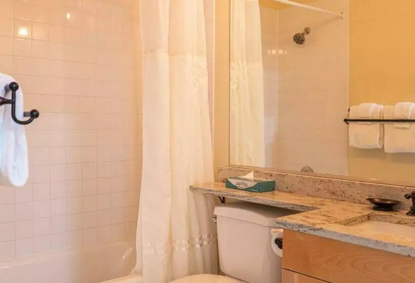 １ベッドルームアパートメント, Long Trail House Condominiums At Stratton Mountain Resort