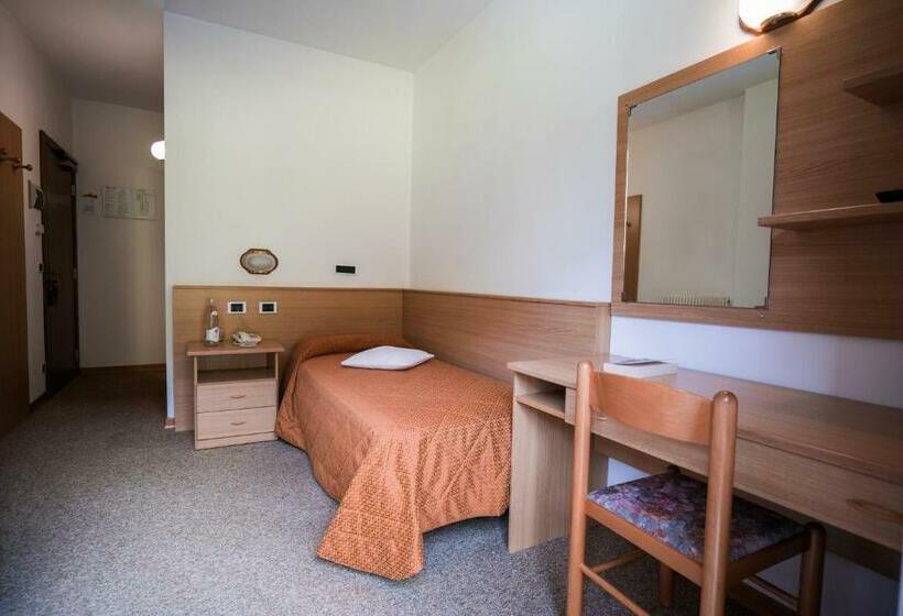 غرفة قياسية فردية, Rio