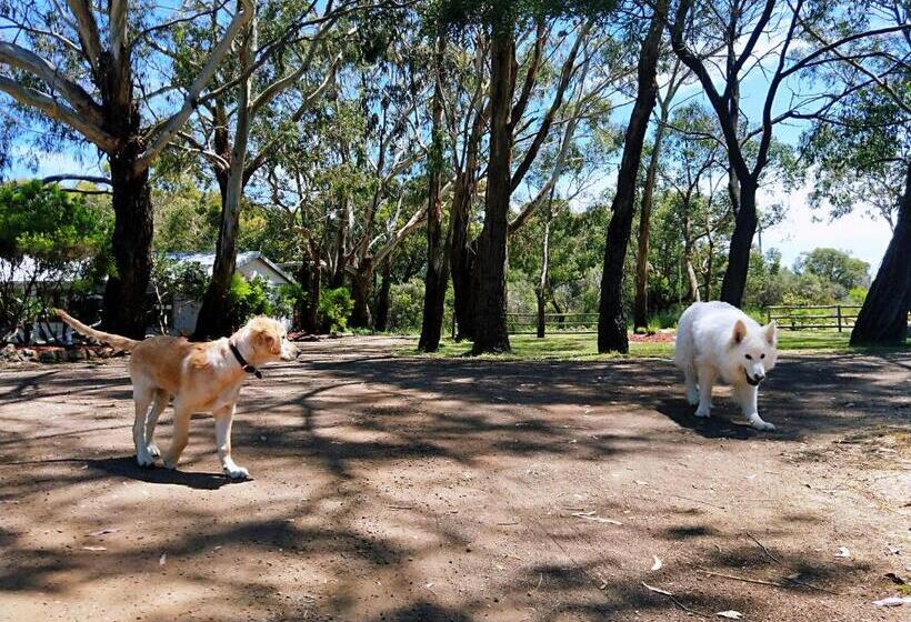 בית, חדר שינה 1, Twelve Apostles Motel & Country Retreat