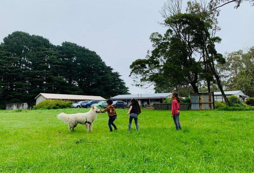 חדר קומפורט, Twelve Apostles Motel & Country Retreat