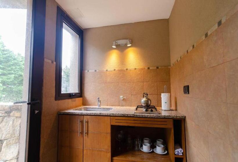 バルコニー付きスタンダードステューディオ, Village De Las Pampas Apart Hotel Boutique