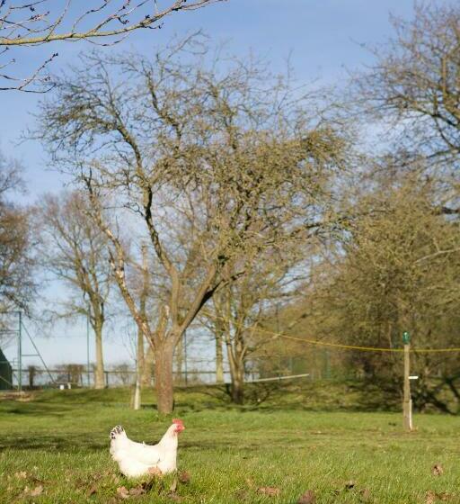 חדר סטנדרט נוף לגינה, The Old Rectory, Kettlebaston