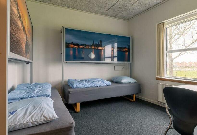 غرفة قياسية مطلة على المدينة, Danhostel Ribe